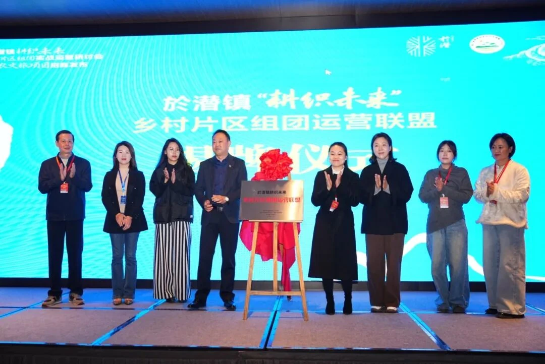 运营赋能全域共富！於潜镇乡村片区组团运营研讨会暨招商发布活动圆满举办报道配图
